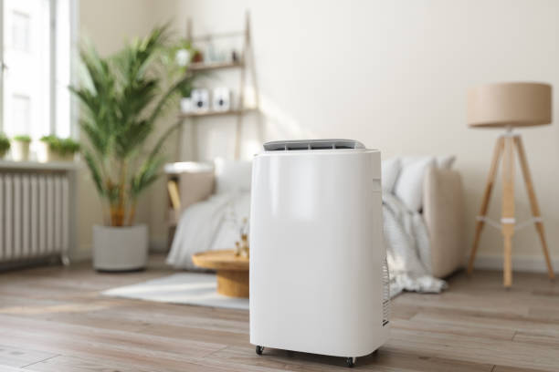 Best Air Filters and Purifiers in Osseo, WI